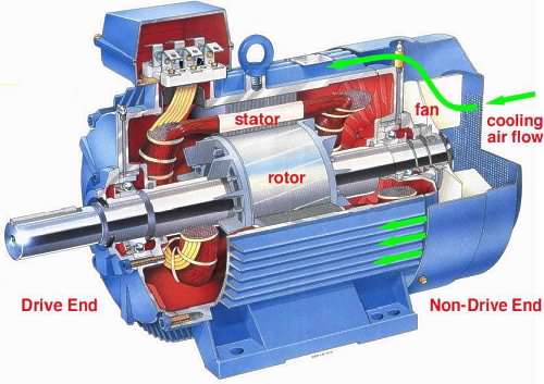motor sectional view